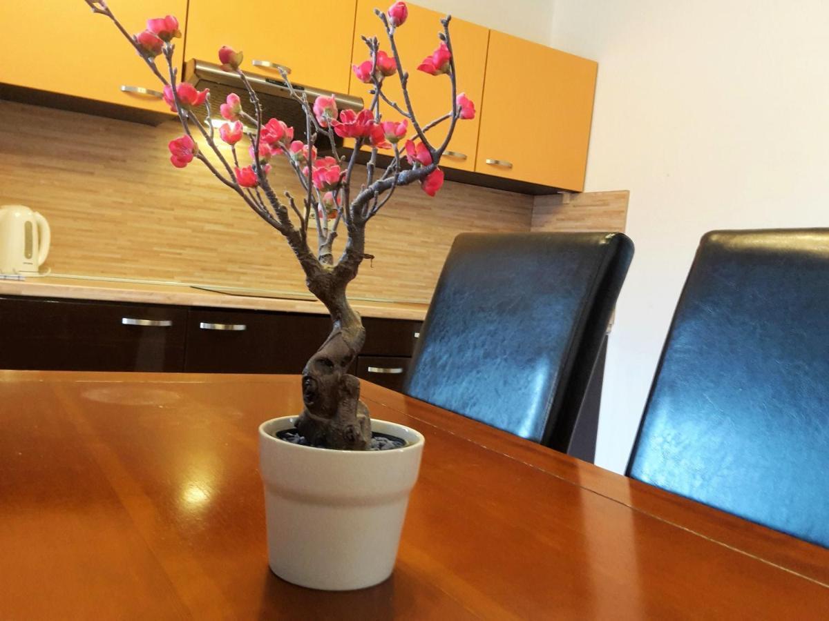 Apartmán SLAVKOV Nová Lesná Kültér fotó